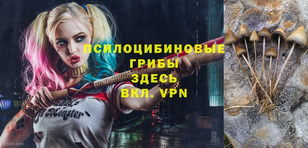 дживик Армянск