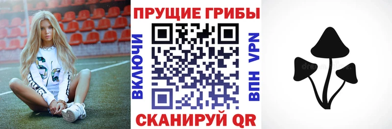 Псилоцибиновые грибы прущие грибы  Нурлат 